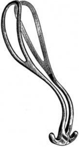 MDS0922812_PRI01_689faee2-6e30-4adb-834b-e1a961abf6e8.jpg